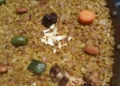 WhatsApp Image 2023 07 01 at 22.14.53 Nacho Martínez Sempere gana el III Campeonato de Arroces de Autor con una paella de tajine de pollo