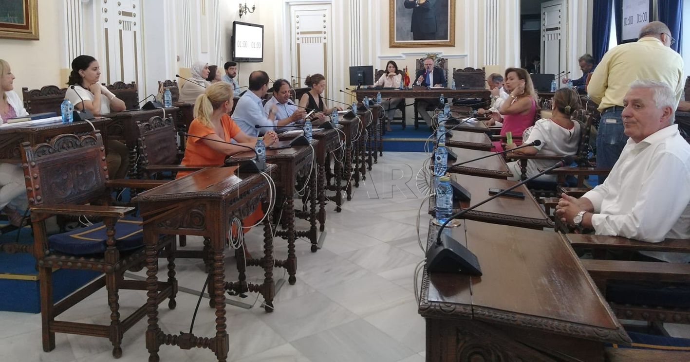 pleno asamblea recorte Ratificada por la Asamblea la composición de las mesas electorales el 23 de julio