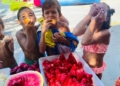 1691147607123 Rotundo éxito en la edición del Summer Camp 2023 de CentrosD2 con más de 600 niños que han disfrutado de un verano inolvidable