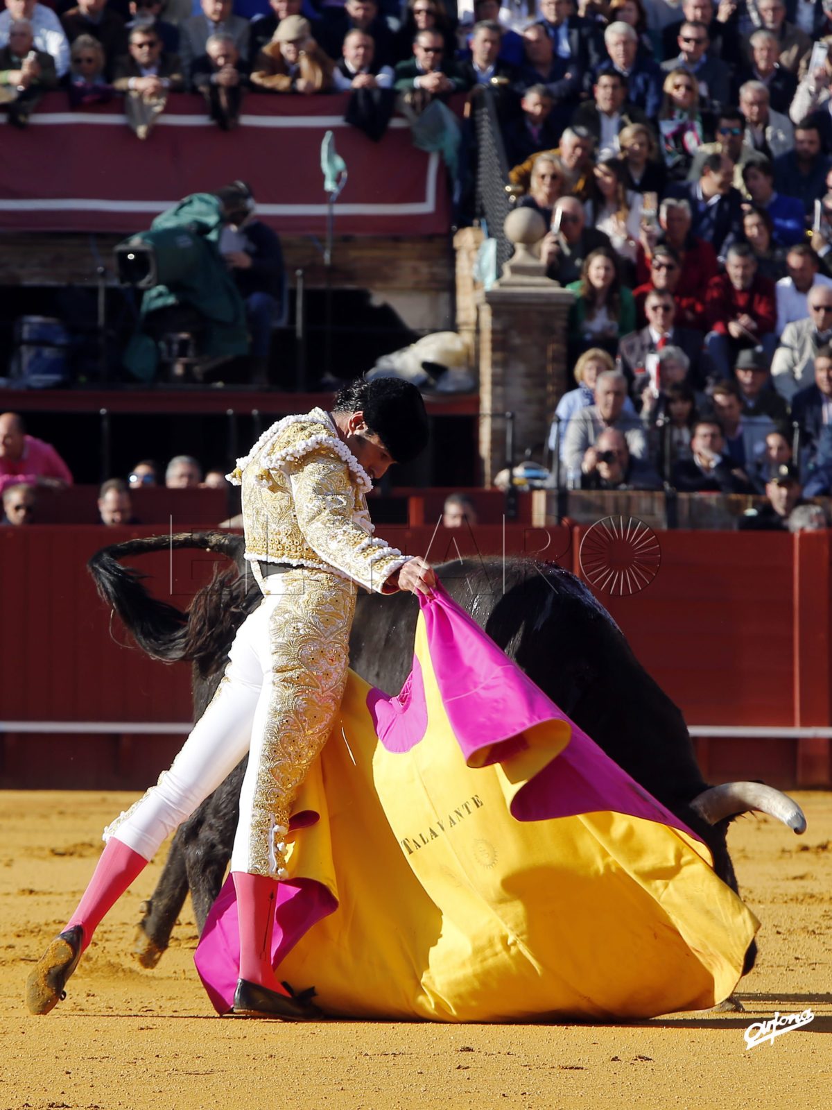Alejandro Talavante