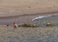 GENTE BAÑANDOSE Horcas Coloradas, la playa ideal para el Poniente