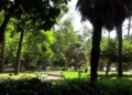 parque hernandez El Parque Hernández, un jardín emblemático de Melilla