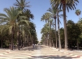 parque hernandez 2 1 El Parque Hernández, un jardín emblemático de Melilla