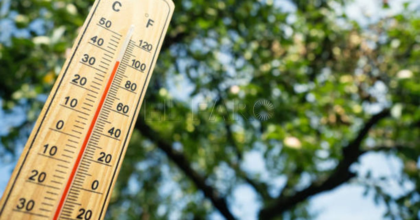 Wooden thermometer with red measuring liquid showing high temperature over 36 degrees Celsius on sunny day on background of apple tree. Concept of heat wave, warm weather, global warming, climate.