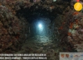 1 sin modelo Grandes trabajos en el Autonómico de fotografía submarina 2023