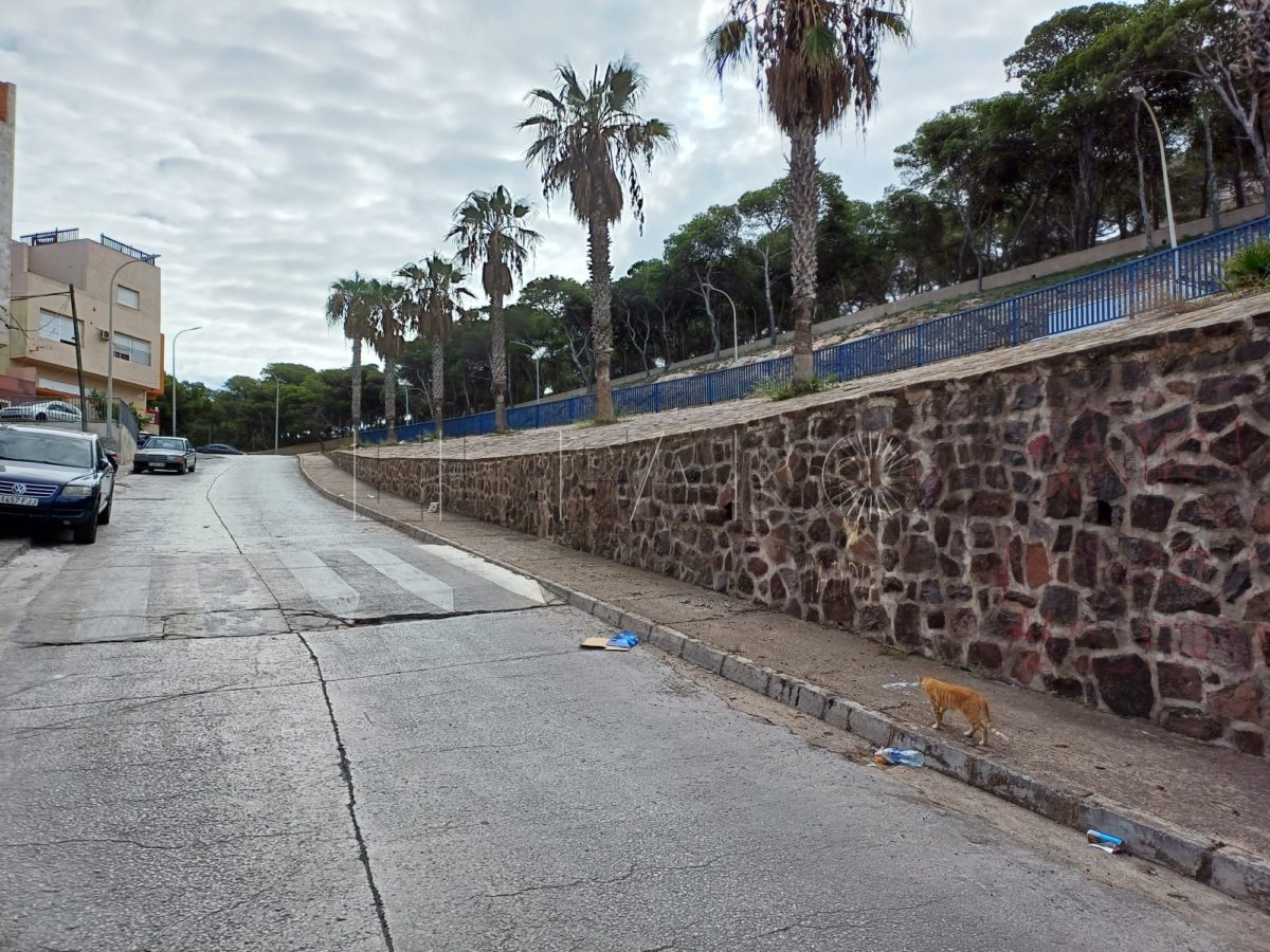 65621960 da6d 400f a7f4 9e10b15e4dda e1696587403188 Los vecinos de la Cañada denuncian que los trabajos de limpieza no llegan a la totalidad del barrio