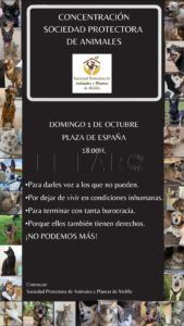 Concentración 1 La Protectora de Animales cuenta con el permiso necesario para su concentración de protesta