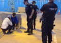 WhatsApp Image 2023 09 11 at 13.04.16 1 Localizadas dos personas en el dispositivo de la Operación Feriante