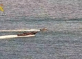 actuaciones en el mar melilla foto5 Interceptada una embarcación de recreo con cinco inmigrantes