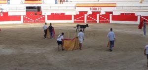 ce09a0f5 9703 43ac b2e6 ddcdefc24b5d La suelta de vaquillas todo un éxito en el ruedo