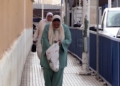 frontera 4 La Operación Paso del Estrecho registra en Melilla una caída en el número de viajeros tras su finalización