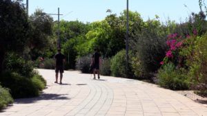 gente forestal 1 El parque forestal Juan Carlos I Rey, un pulmón botánico en Melilla