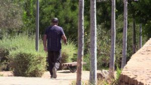 gente forestal 2 1 El parque forestal Juan Carlos I Rey, un pulmón botánico en Melilla
