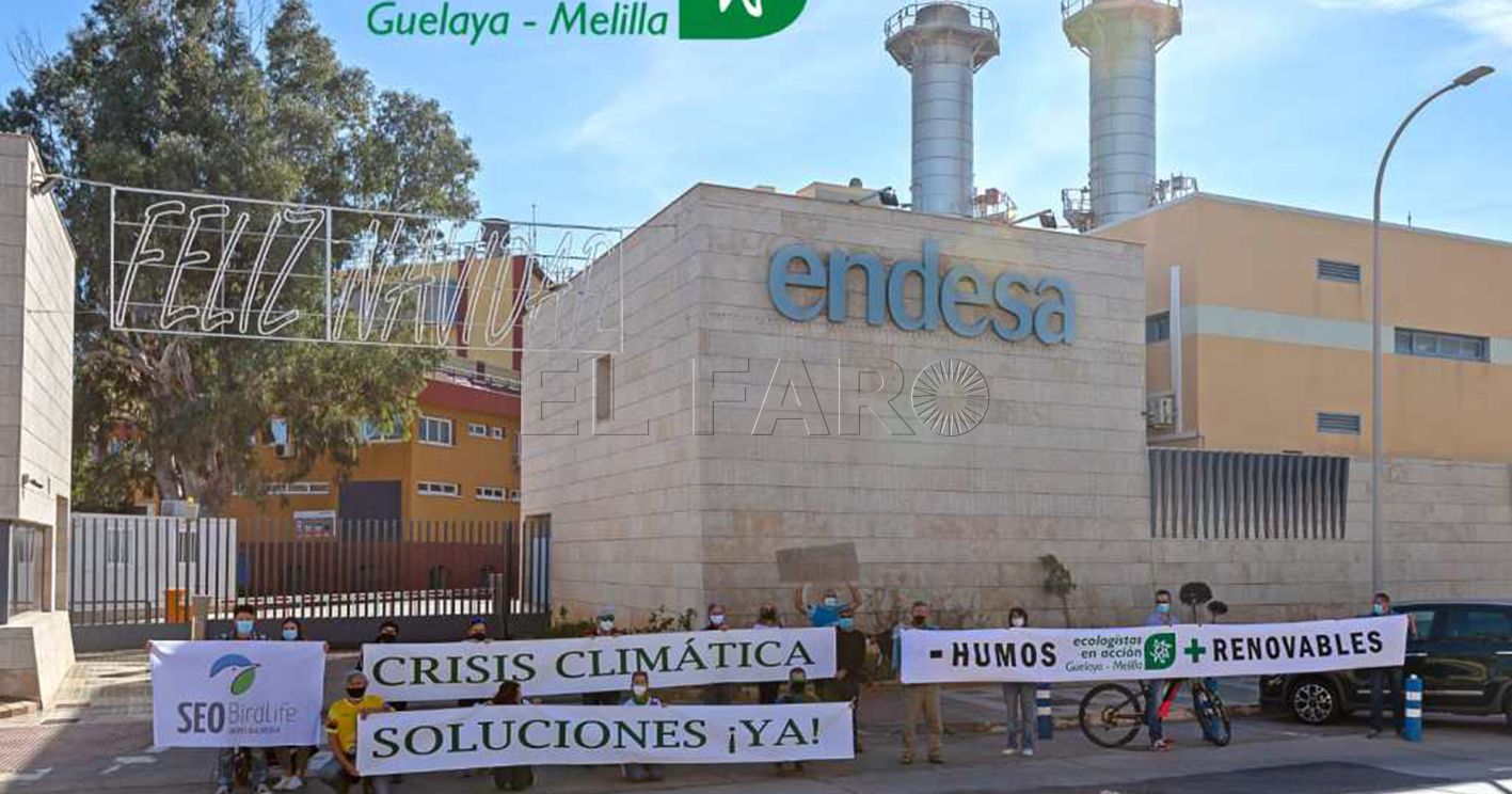 guelaya endesa recorte Endesa, el humo que no cesa