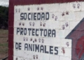 mural protectora de animales La Protectora de Animales pide mejoras, a la espera de recibir sus nuevas instalaciones
