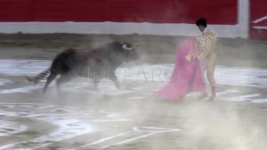 toro Lleno absoluto en La 'Mezquita del Toreo'