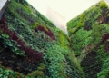 vertical El jardín vertical de Mariscal Sherlock da la bienvenida al alumnado del conservatorio en su vuelta al trabajo