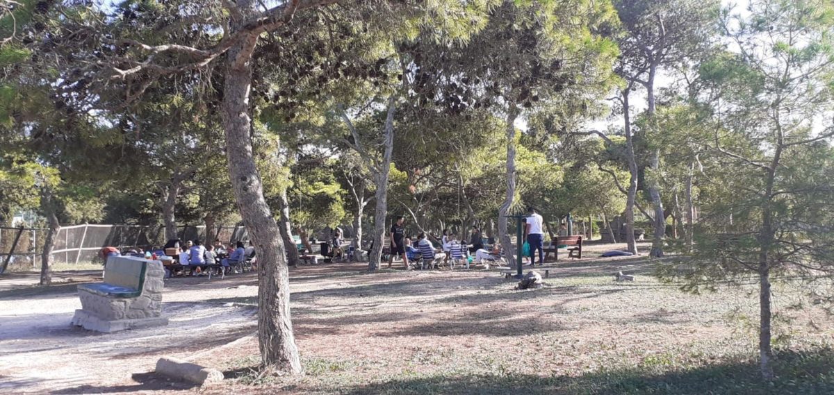pinares