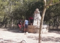 6e1e40b8 e642 451b 8f68 90aa39ff1bee Los Pinares, un plan asegurado para los fines de semana de otoño