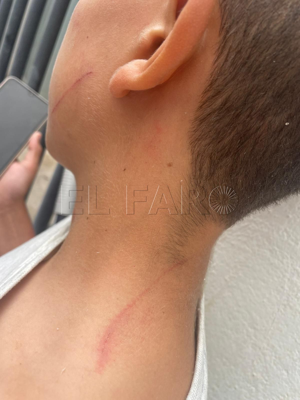 99aaf069 426c 423d 8a22 32c150261e45 CSIF aclara que la actuación de los docentes del Enrique Nieto fue la correcta