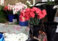 MVI 1264 Los melillenses llenan las floristerías en vísperas de Todos los Santos