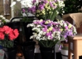 MVI 12641 Los melillenses llenan las floristerías en vísperas de Todos los Santos