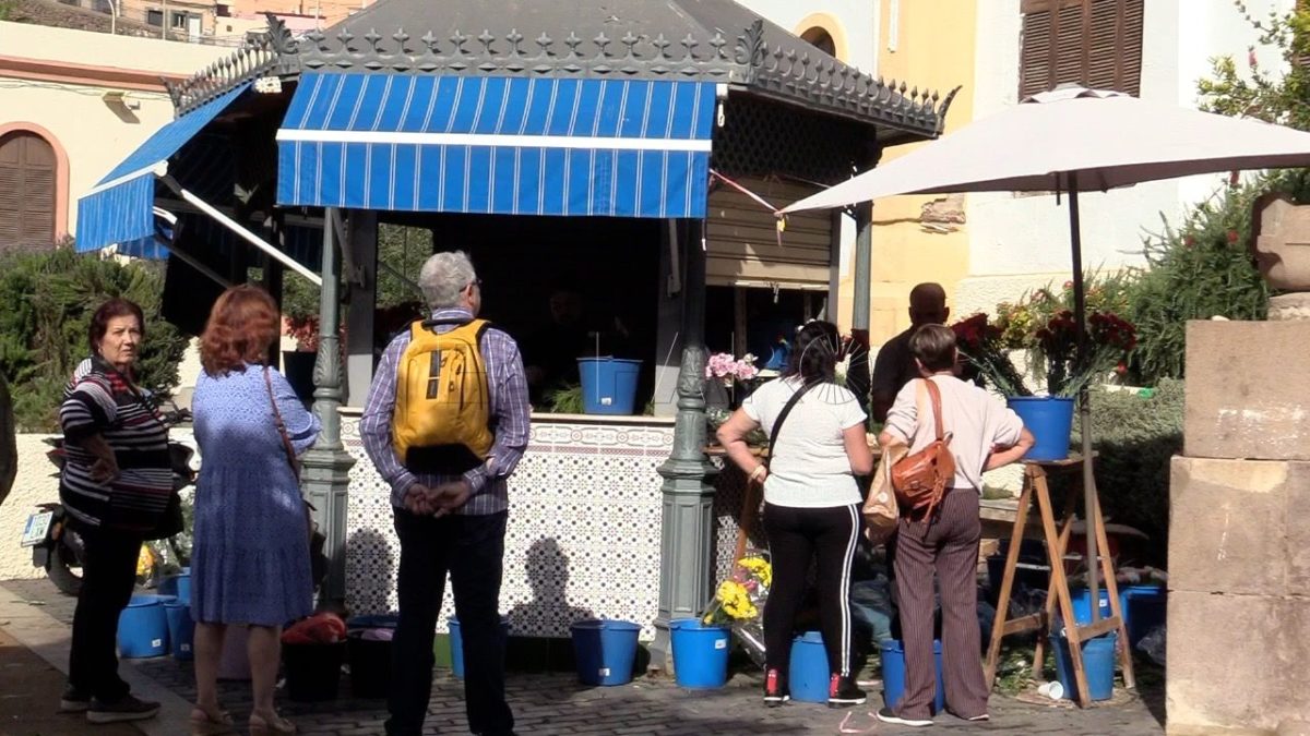MVI 1269 e1698700152769 Los melillenses llenan las floristerías en vísperas de Todos los Santos