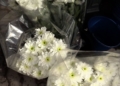 MVI 1272 Los melillenses llenan las floristerías en vísperas de Todos los Santos