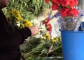 MVI 1276 Los melillenses llenan las floristerías en vísperas de Todos los Santos