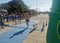 WhatsApp Image 2023 10 08 at 11.49.43 Ahmed Kanafi y Amara Hamed, ganadores del I Trail Solidario 062 Guardia Civil Melilla