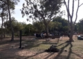 d85f710f f4ee 4387 ae8d 9b0f5583db40 Los Pinares, un plan asegurado para los fines de semana de otoño