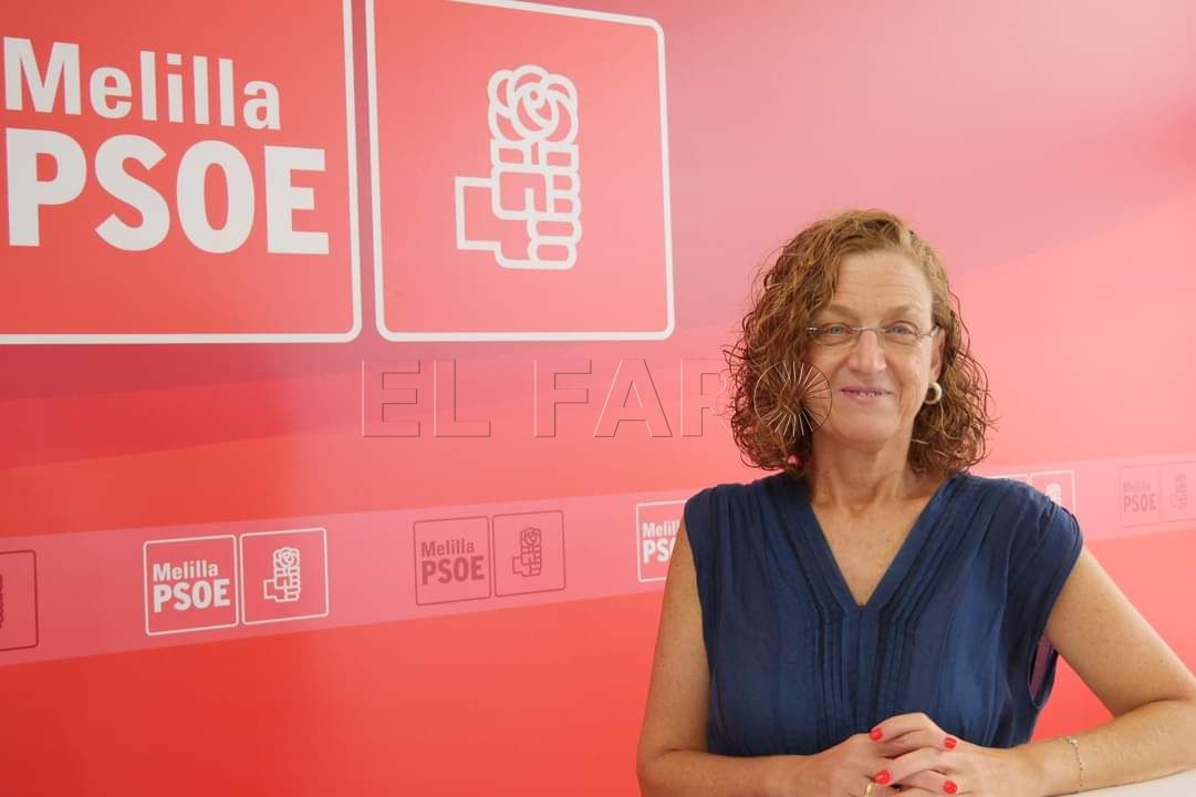 Rojas subraya que el PSOE siempre ha apostado por líneas de autobús para el puerto y aeropuerto