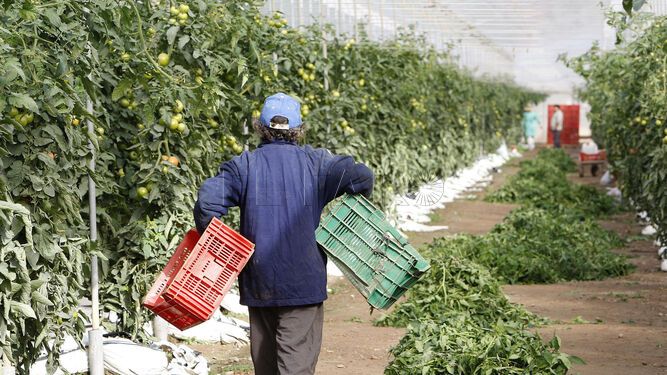 trabajador interior Cómo eliminar el desempleo en Melilla