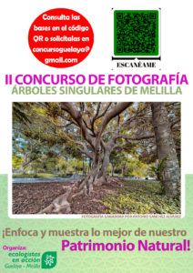 Guelaya concurso Abierto el plazo para el II Concurso Fotográfico sobre Árboles Singulares de Melilla
