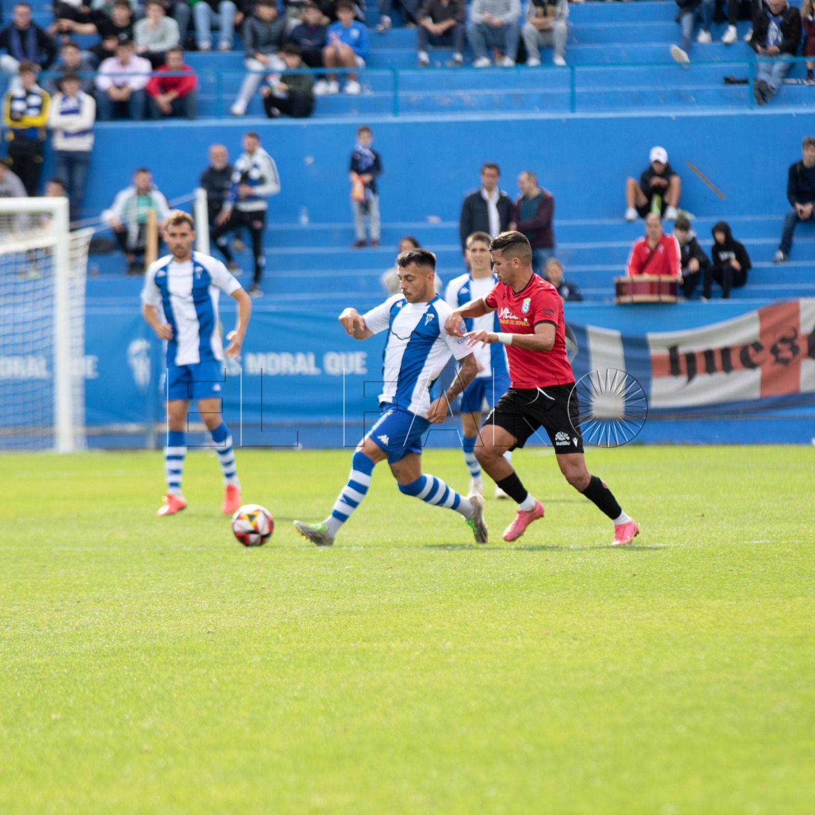 WhatsApp Image 2023 11 12 at 14.20.58 Dura derrota de la UD Melilla en Alcoy
