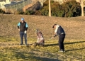 WhatsApp Image 2023 11 30 at 10.53.33 Pilar Pérez Gómez y Ángel Weil, triunfadores en el Torneo de Amigos del Golf