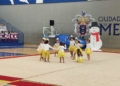 19 Festival de Gimnasia Rítmica de la Territorial Melillense