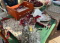 749cc181 fe36 4d55 94f7 8fdd1f4cb987 Aspanies celebra su tradicional mercadillo navideño