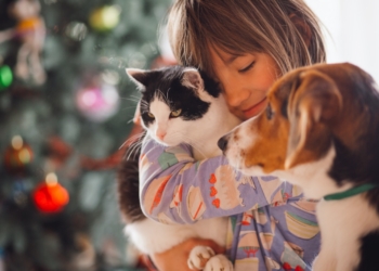 Captura de pantalla 2023 12 22 a las 13.50.37 ¿Cómo evitar que las mascotas lo pasen mal esta Navidad?