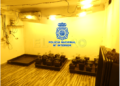 Foto 4 La Policía se incauta de varias plantaciones de marihuana en el Monte María Cristina