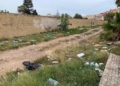 WhatsApp Image 2023 12 05 at 13.27.27 Colchones, electrodomésticos y mucha basura por las calles del barrio de Las Palmeras