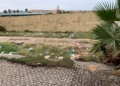 WhatsApp Image 2023 12 05 at 13.27.29 Colchones, electrodomésticos y mucha basura por las calles del barrio de Las Palmeras