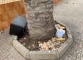 WhatsApp Image 2023 12 05 at 13.27.34 Colchones, electrodomésticos y mucha basura por las calles del barrio de Las Palmeras