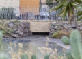 319e3c7d aaab 4358 a9fa 5f54dd5584ae Guelaya denuncia el vertido de aguas fecales en la desembocadura del río que causa la muerte de cientos de cangrejos
