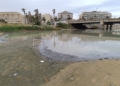 92e44c9f 85a4 49d3 9770 82ece6518768 Guelaya denuncia el vertido de aguas fecales en la desembocadura del río que causa la muerte de cientos de cangrejos