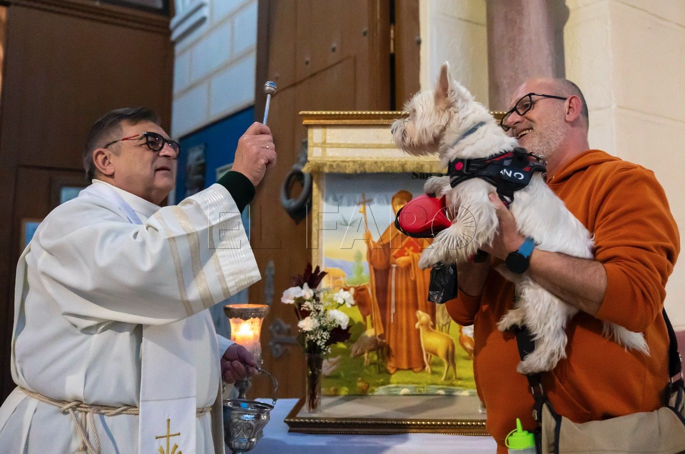 Captura de pantalla 2024 01 17 a las 20.33.19 Las mascotas son bendecidas por San Antón