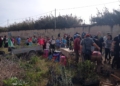 WhatsApp Image 2024 01 13 at 16.21.42 Exitosa plantación solidaria de Guelaya