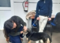 WhatsApp Image 2024 01 22 at 20.35.34 1 La Ciudad lleva a cabo un programa de terapia asistida con animales