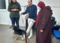 WhatsApp Image 2024 01 22 at 20.35.34 2 La Ciudad lleva a cabo un programa de terapia asistida con animales