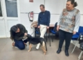 WhatsApp Image 2024 01 22 at 20.35.34 3 La Ciudad lleva a cabo un programa de terapia asistida con animales